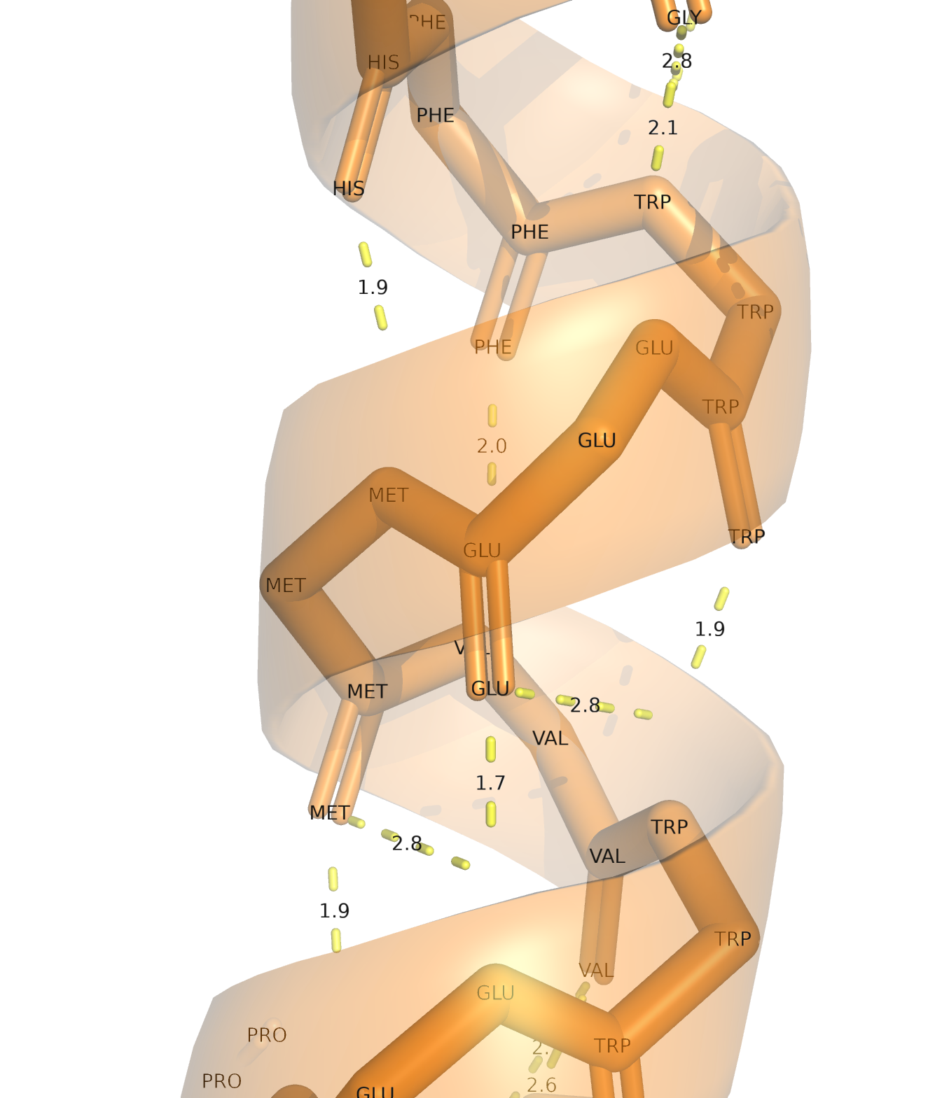 hydrogen bond